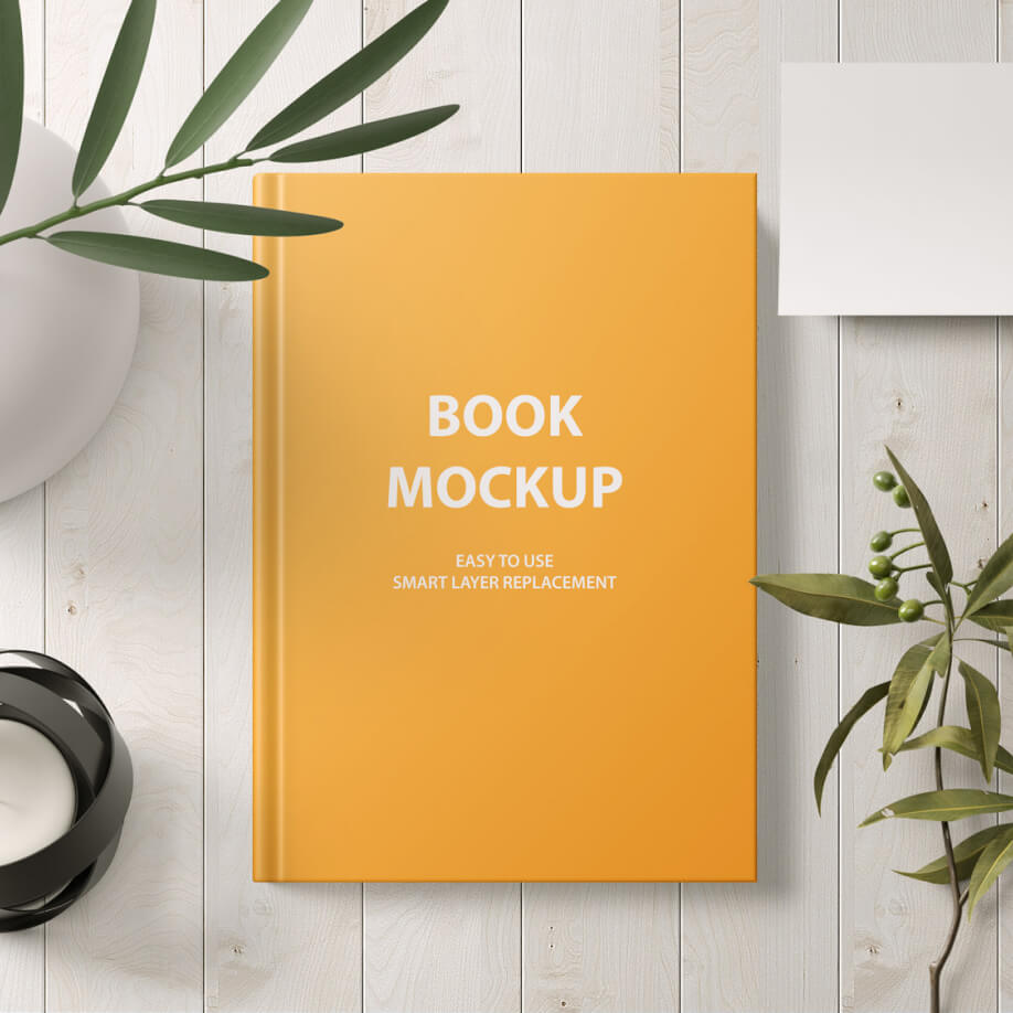 The Professional’s Mindset: Advancement Through E-Learning