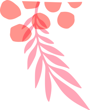 Shape Image