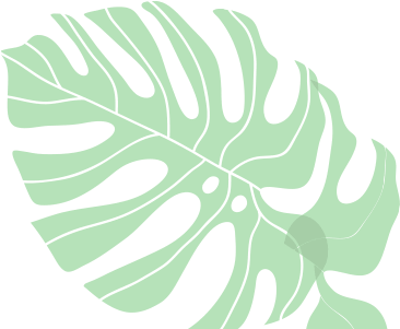 Shape Image